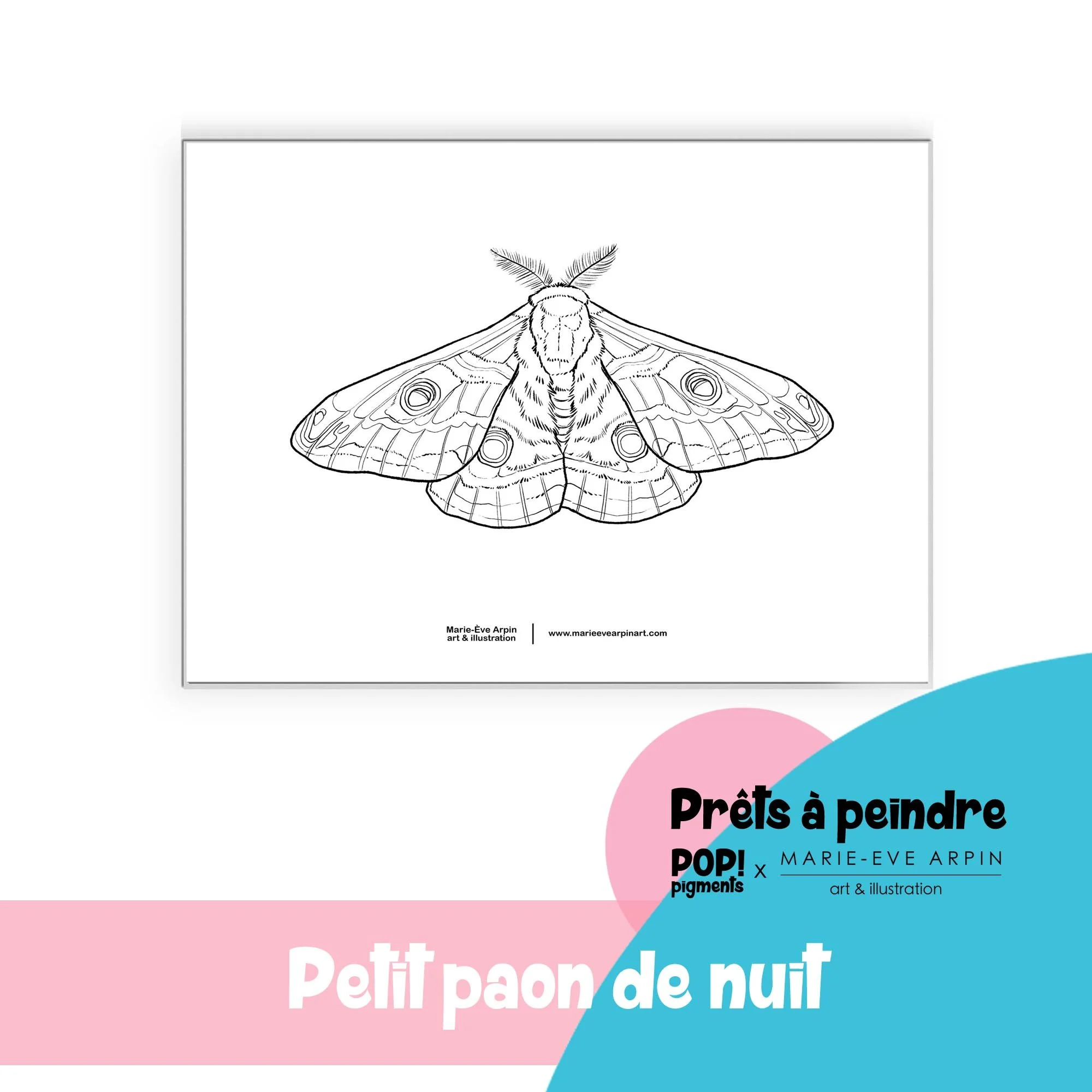 papillon_paon_de_nuit_Croquis_a_peindre_aquarelle_MEA_PopPigments.jpg