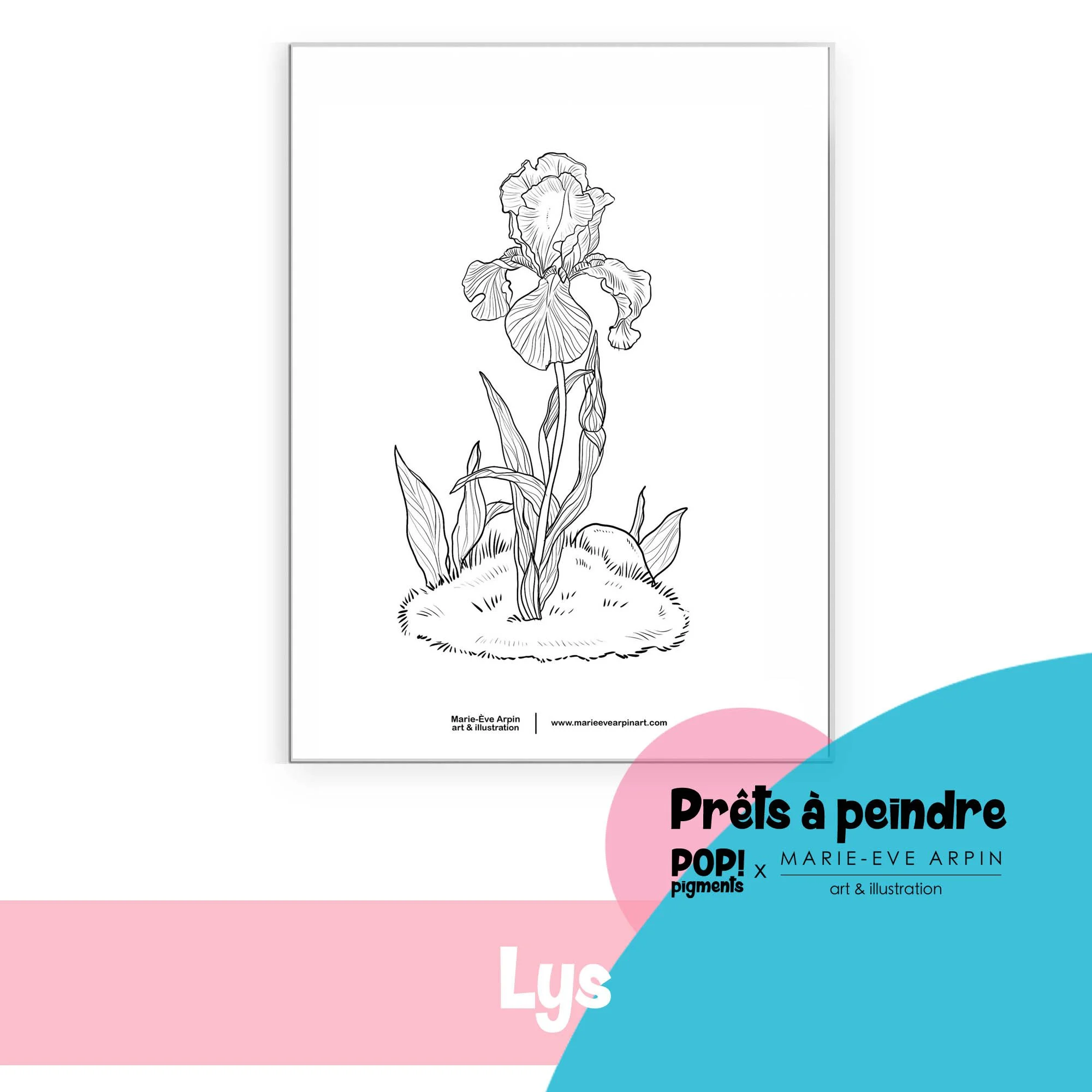 Lys_Plantes_Aquarelle_Croquis_Illustration_Prête_a_Peindre_MEA_PopPigments.jpg