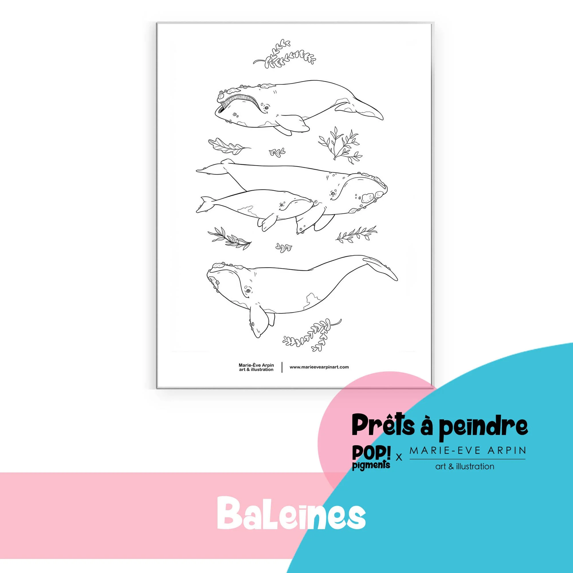 Baleines_Aquarelle_Croquis_Illustration_Prête_a_Peindre_MEA_PopPigments.jpg