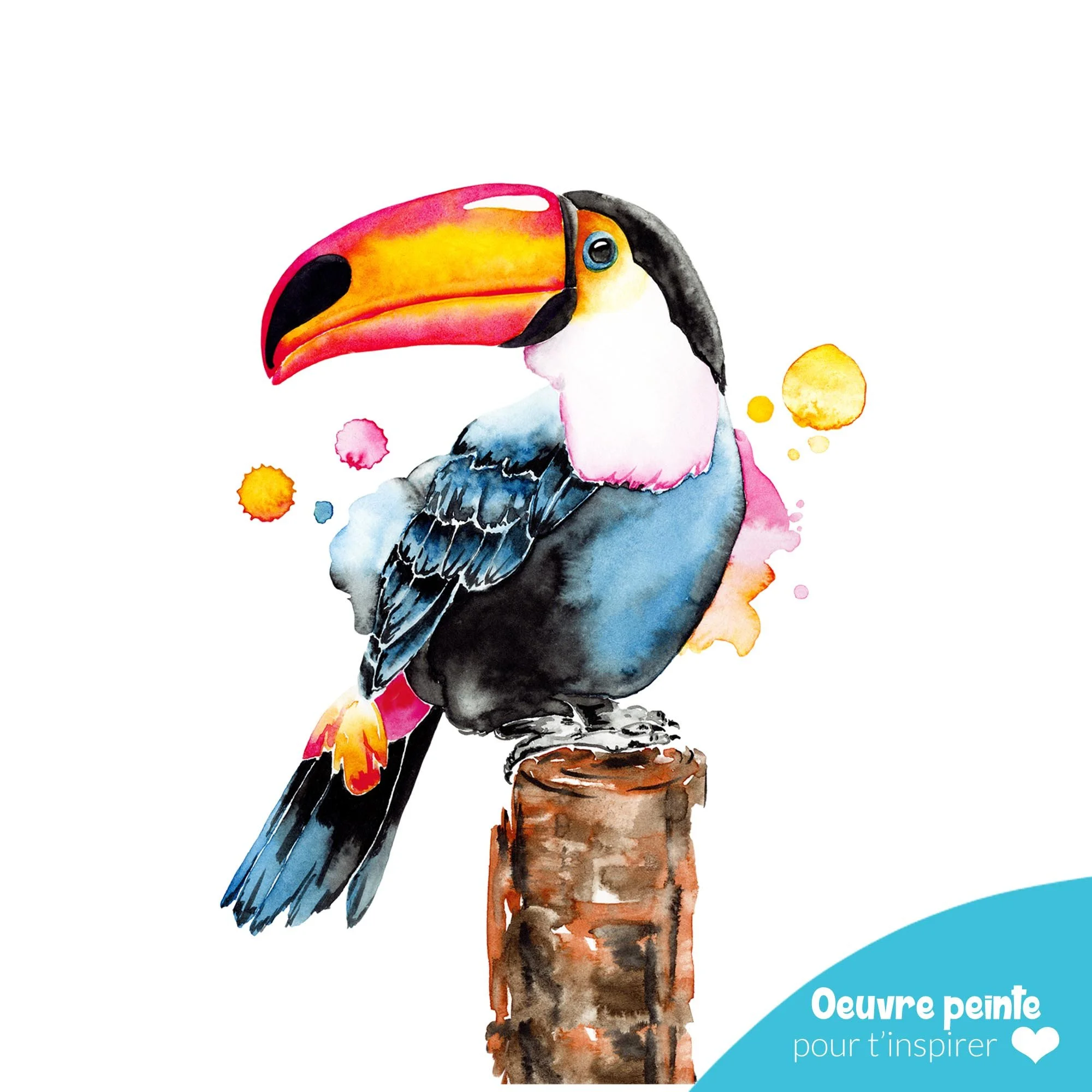 Toucan.jpg