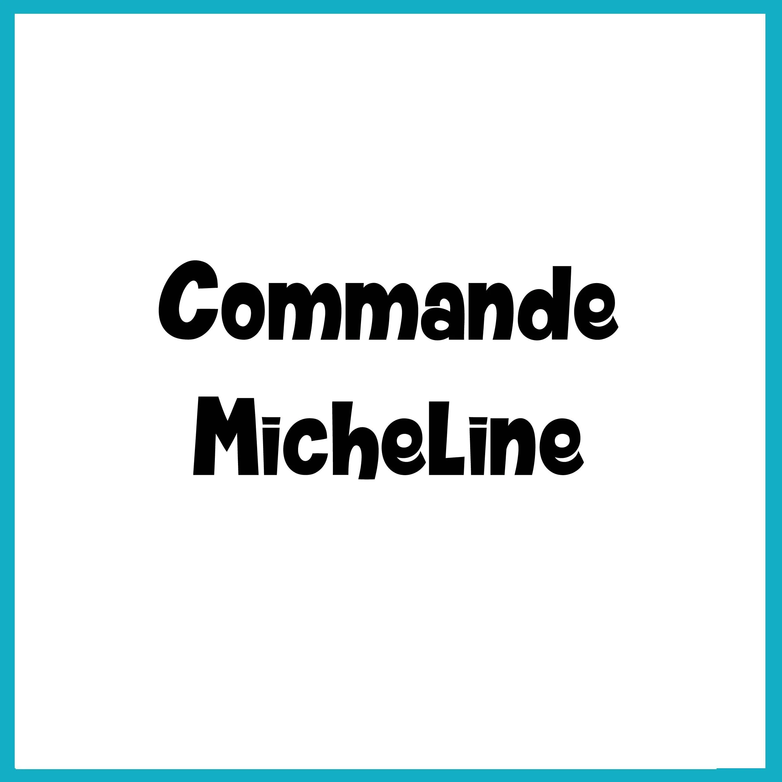 Commande Micheline M
