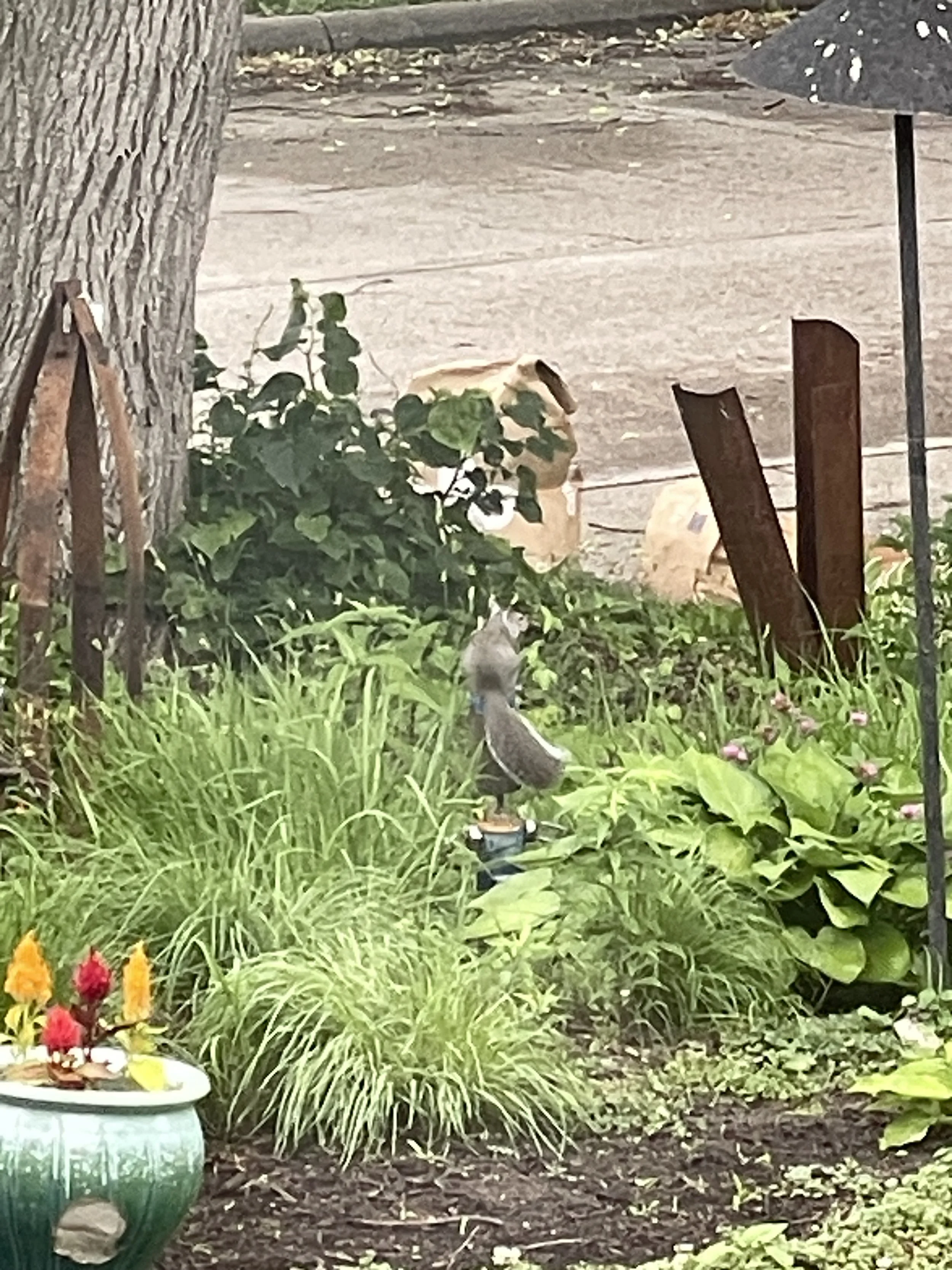 IMG_8683.jpeg