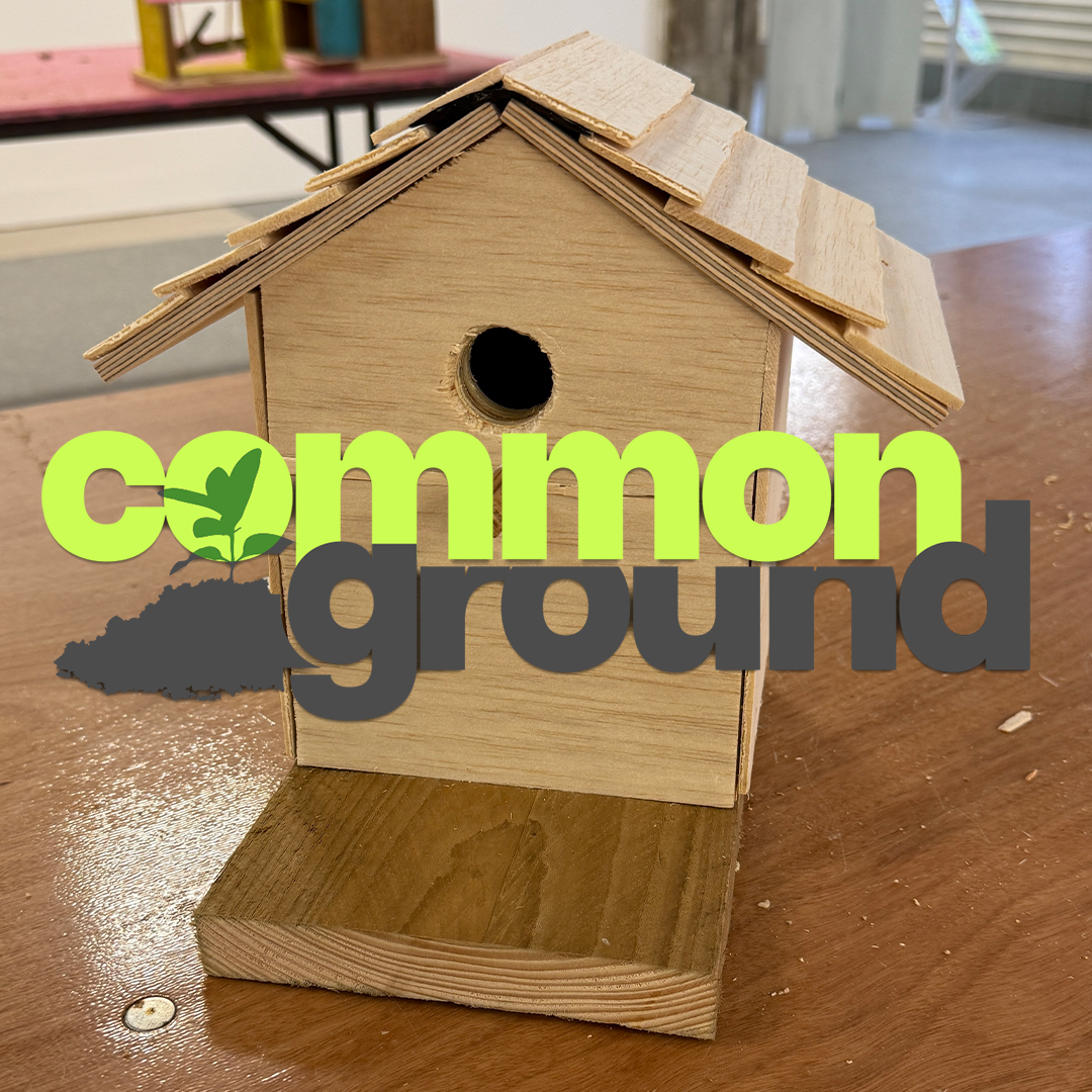 Exploring Birdhouses with Eve Cromwell