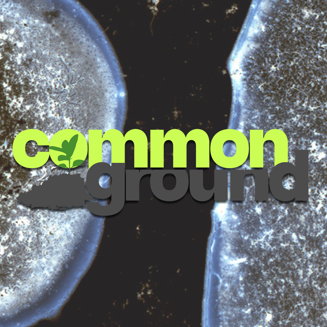 Common Ground: Reading Soil, Sensing Landscape2