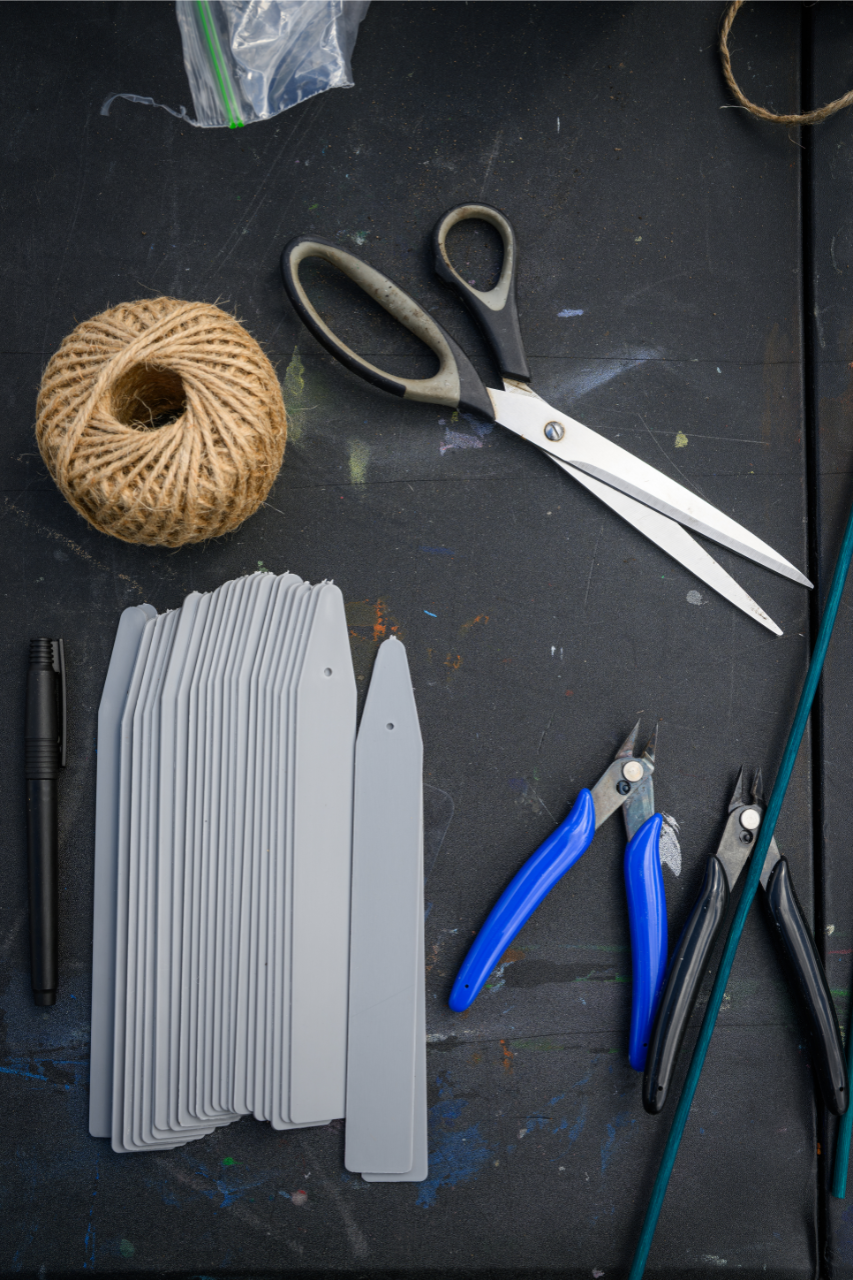 Untitled design (42).png