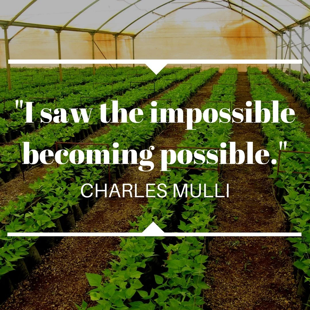🔥🎥 After viewing the Mully movie, you will believe in miracles, too! 🆓 FREE Movie 🍿 Friday Night 8pm pleasantgrovedouglasville.org/movie-nights #mullymovie #worldslargestfamily #empoweredtoempower