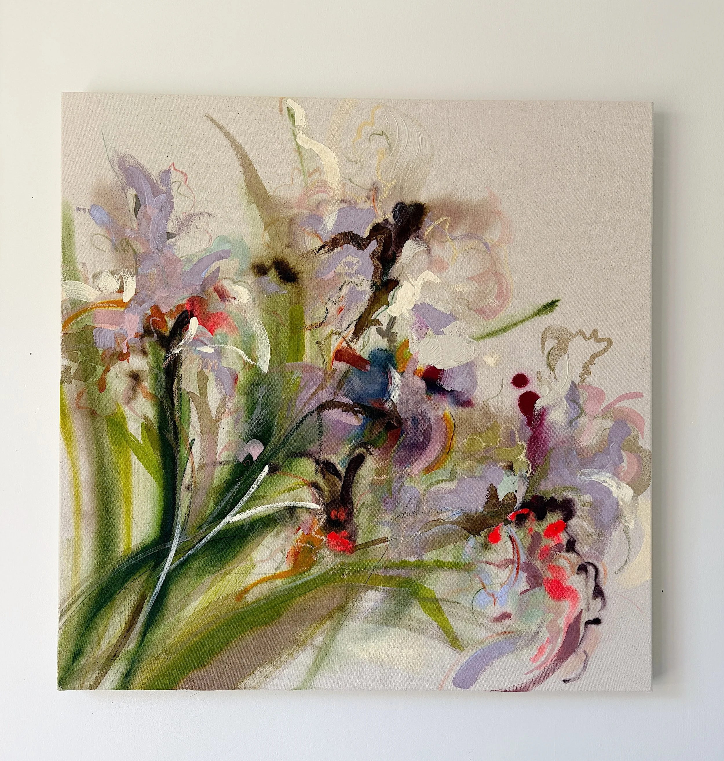 Irises, Early May no. 12_30"x30"_2026_in_situ.JPG