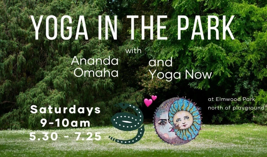 Yoga in the Park