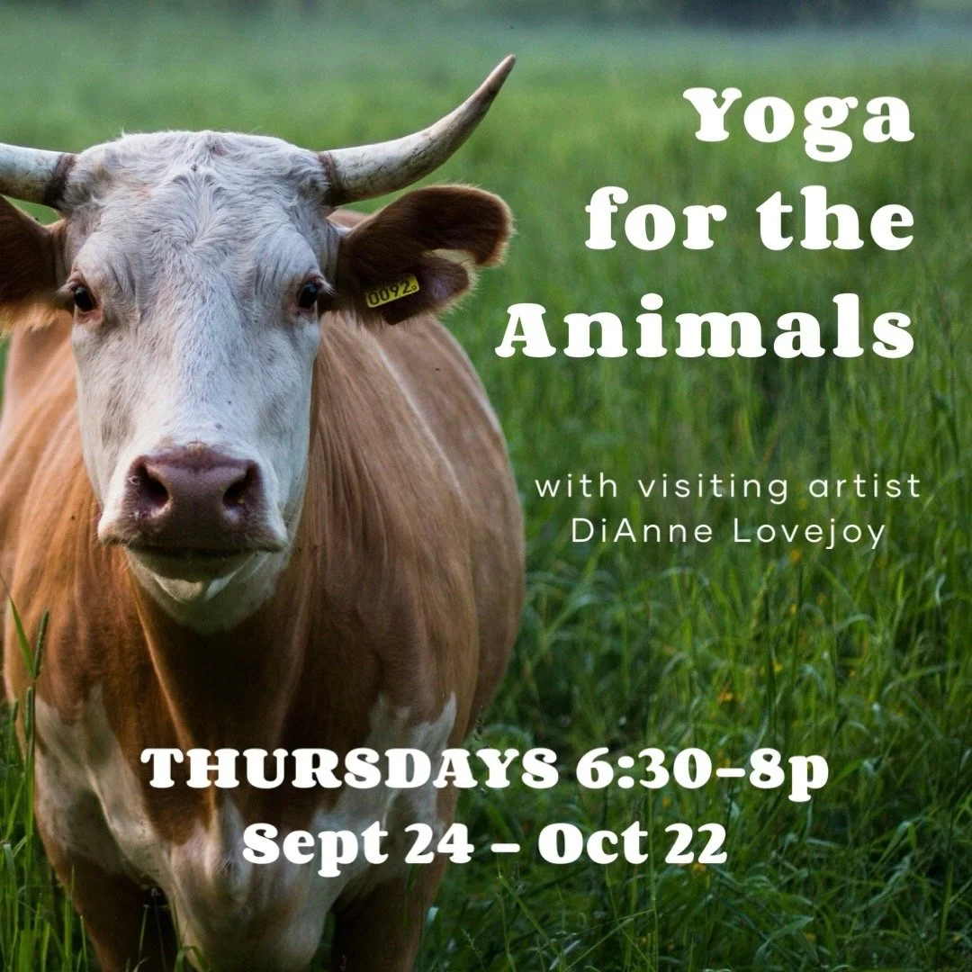 Yoga for the Animals