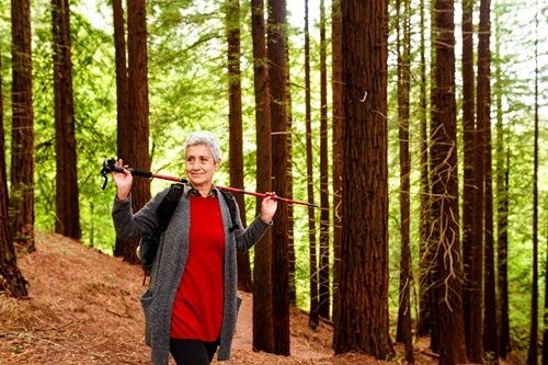7 Spring Activities for Seniors in Santa Cruz