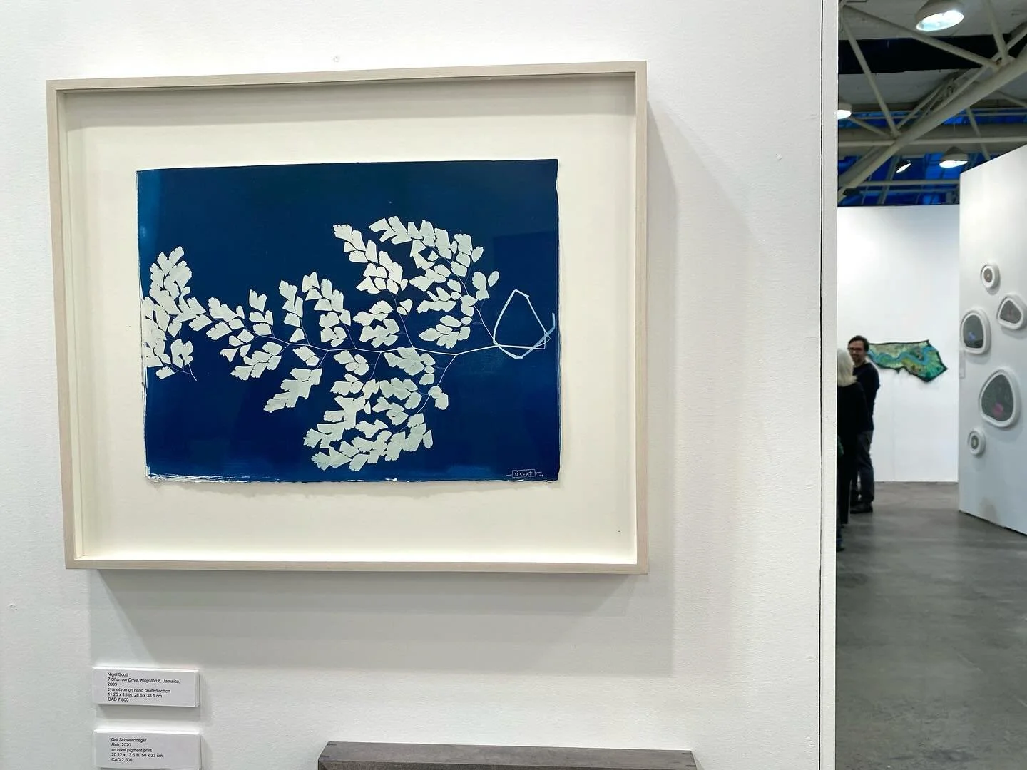 Cyanotype Conversations in Blue #arttoronto @corkingallery Booth C50 #fortheloveofblue #bluelove