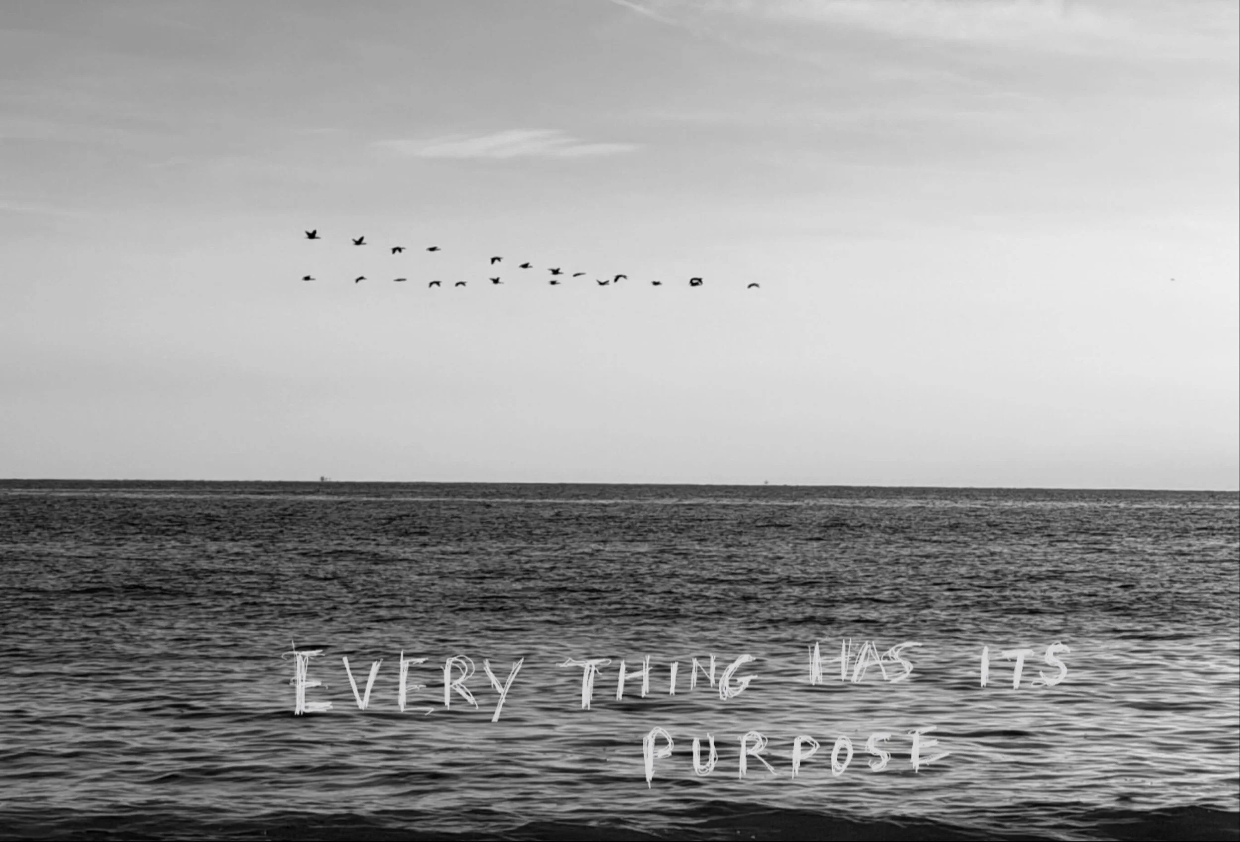 Everything has its purpose&hellip;&hellip;&hellip;&hellip;..