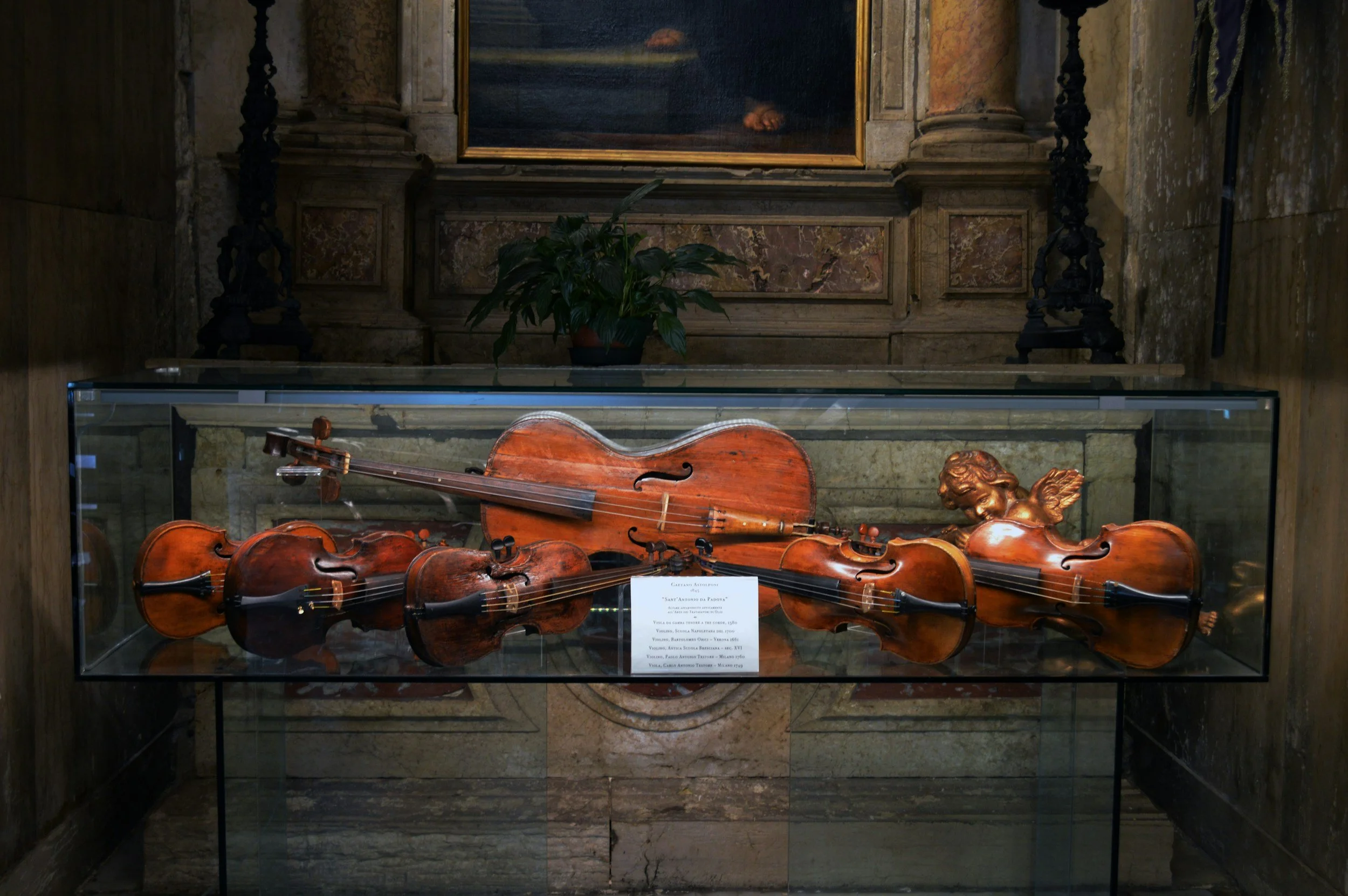 The History of the Violin: From Ancient Roots to Modern Brilliance