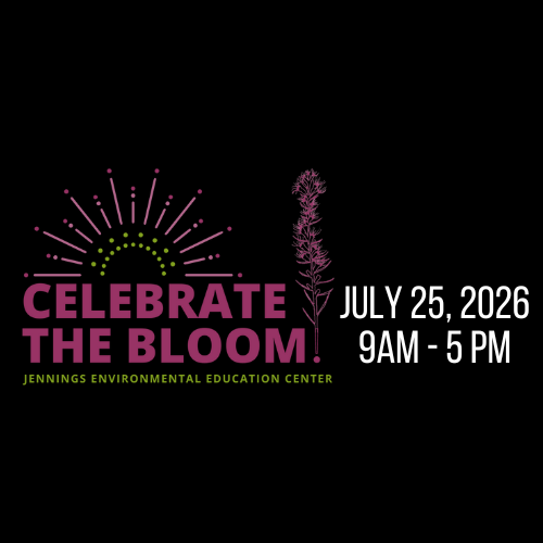 Celebrate The Bloom!