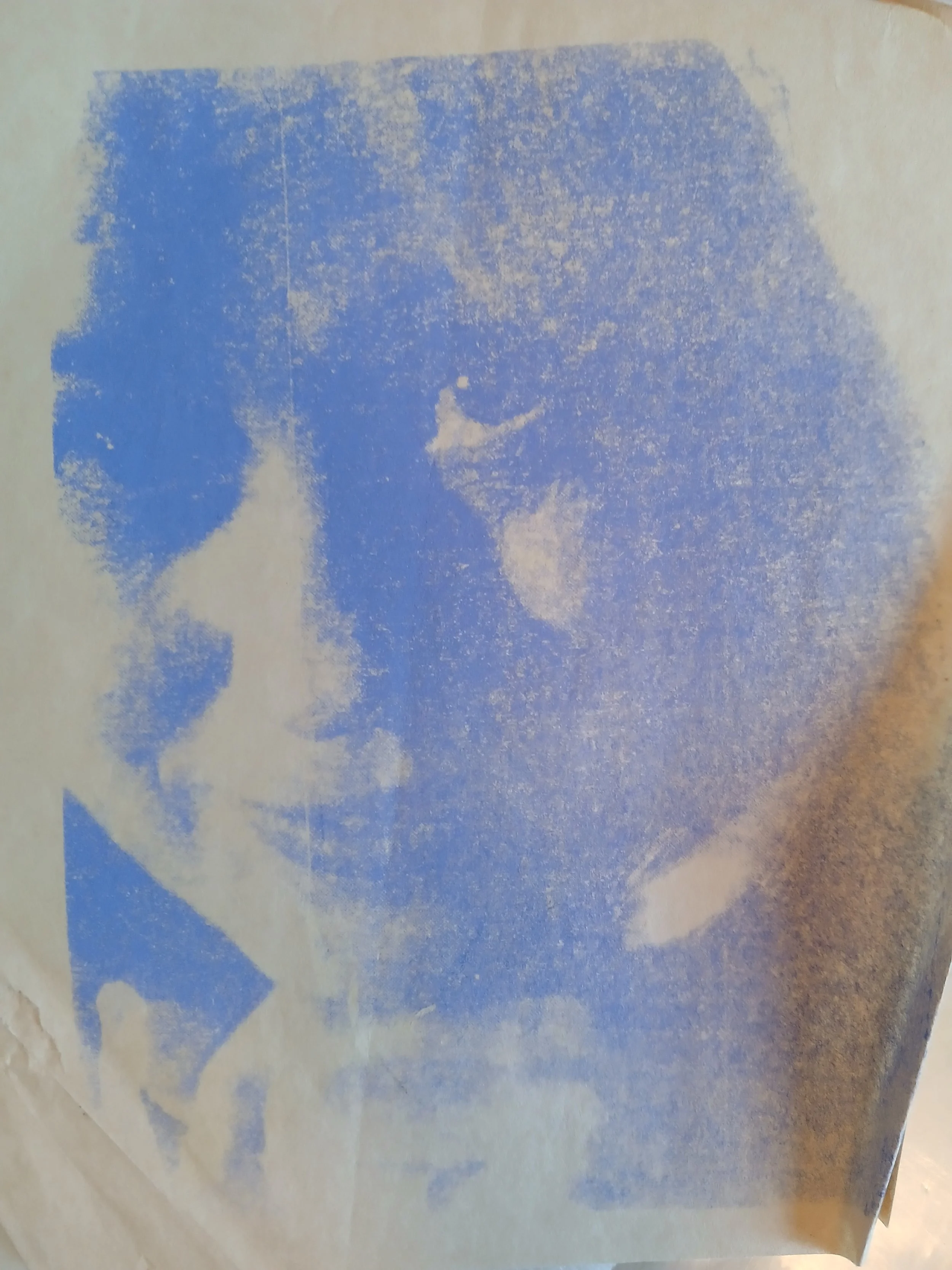 20260408_105010.jpg