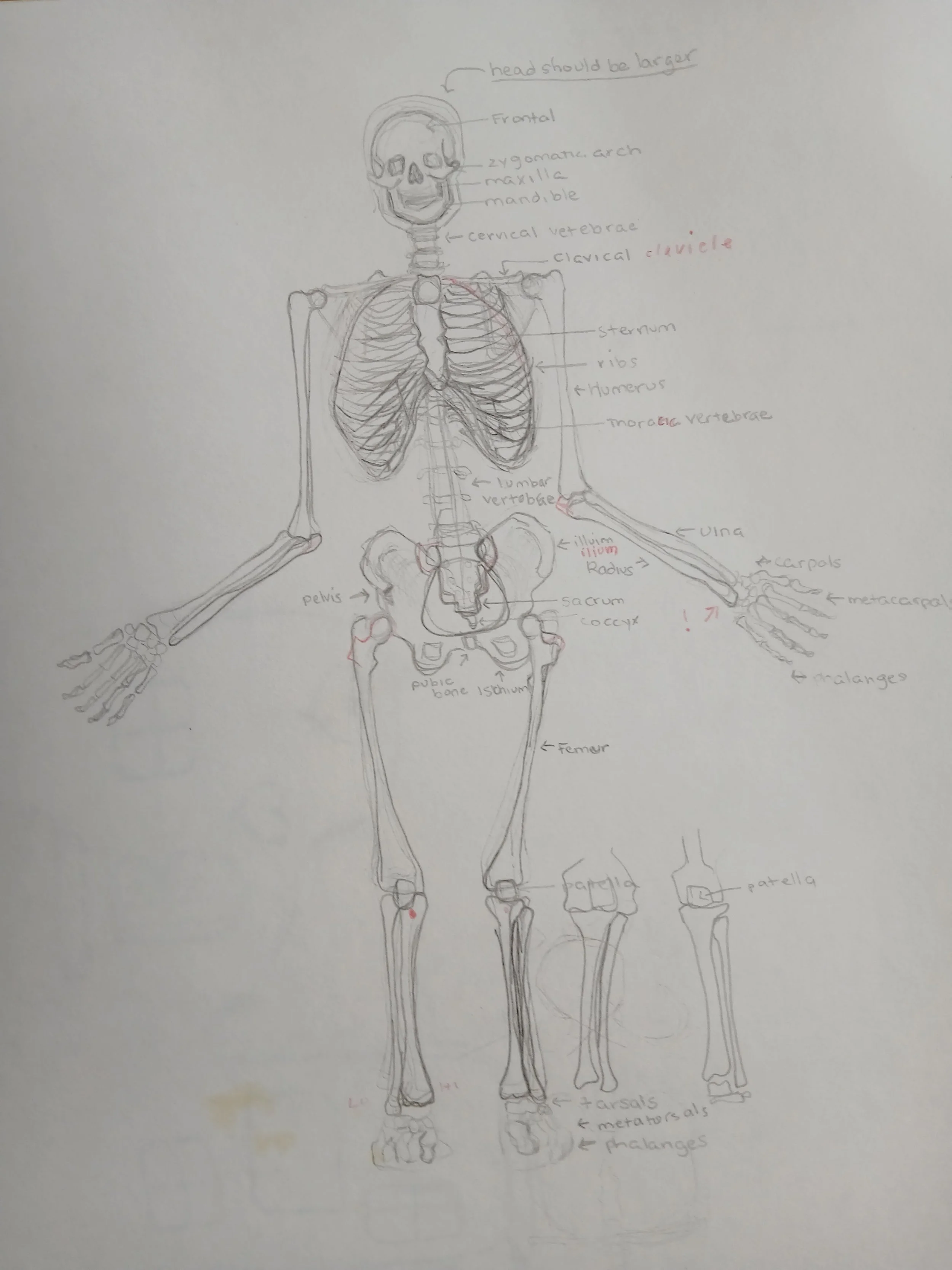20260408_103922.jpg