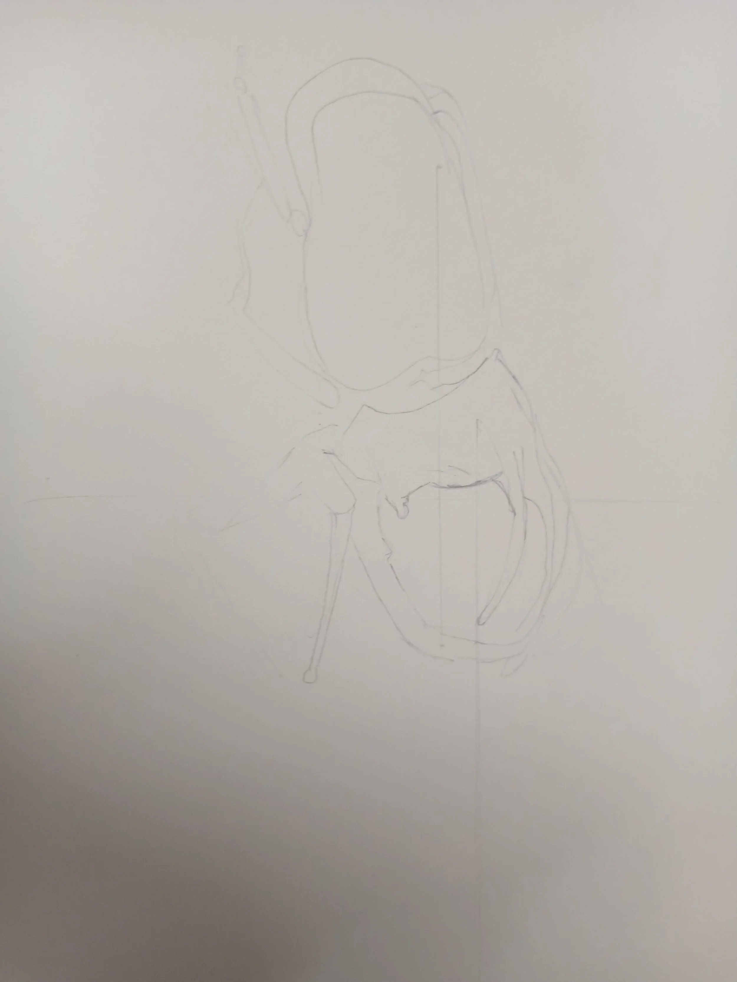 20260408_102959.jpg