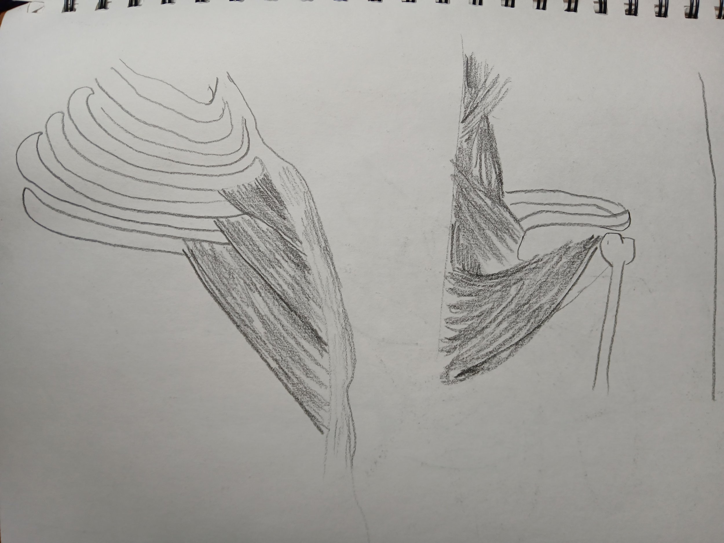 20260408_103426.jpg