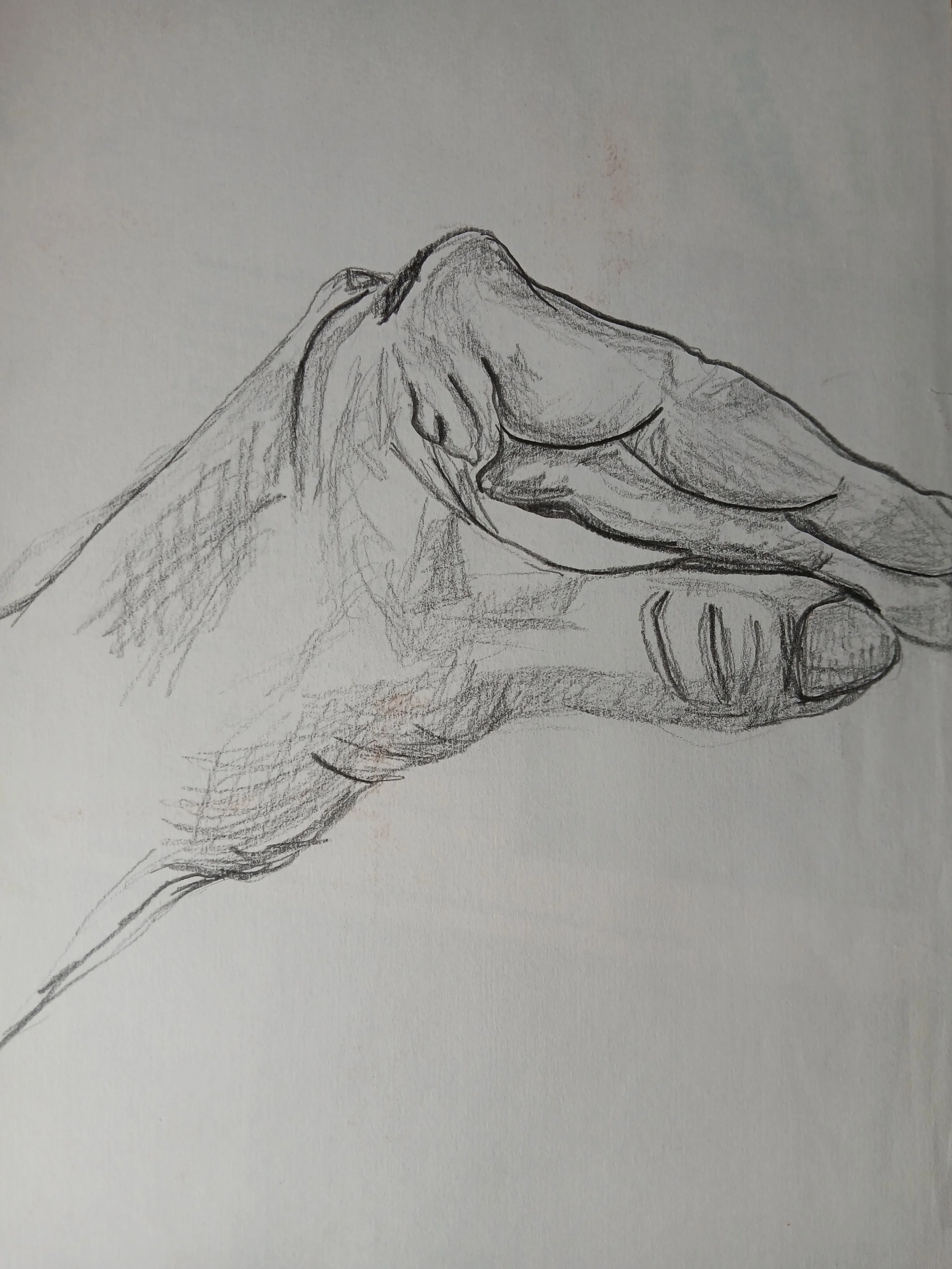 20260408_104342.jpg