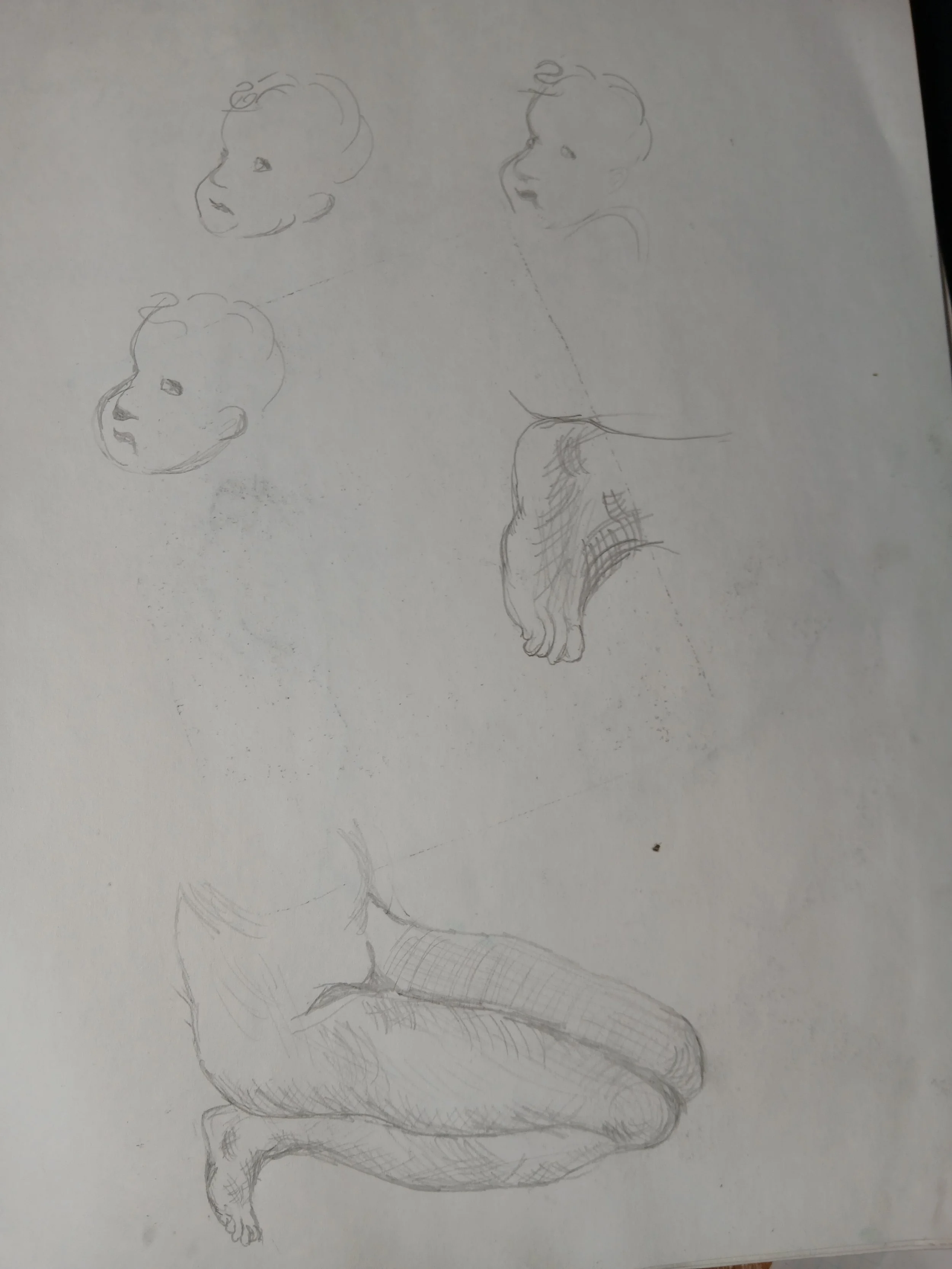 20260408_103630.jpg