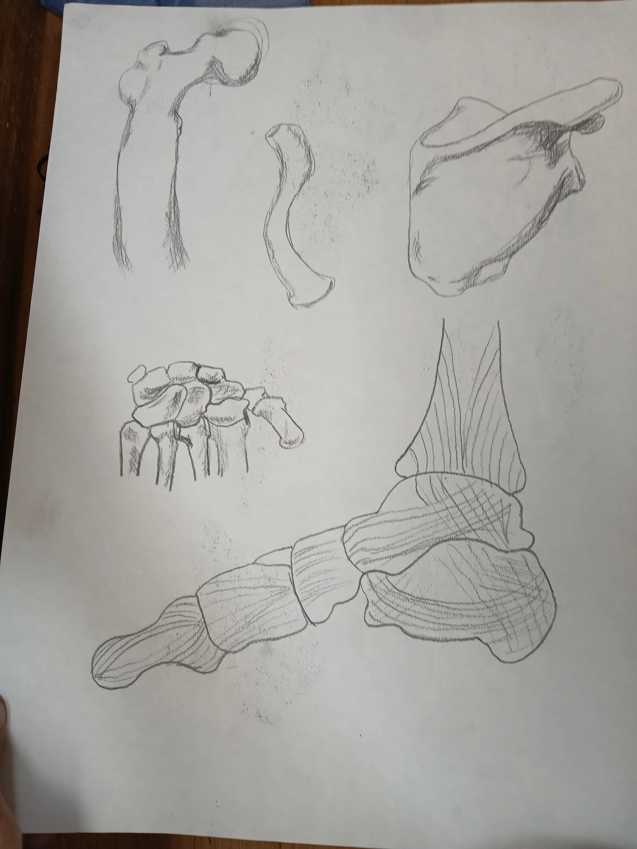 20260408_103557.jpg