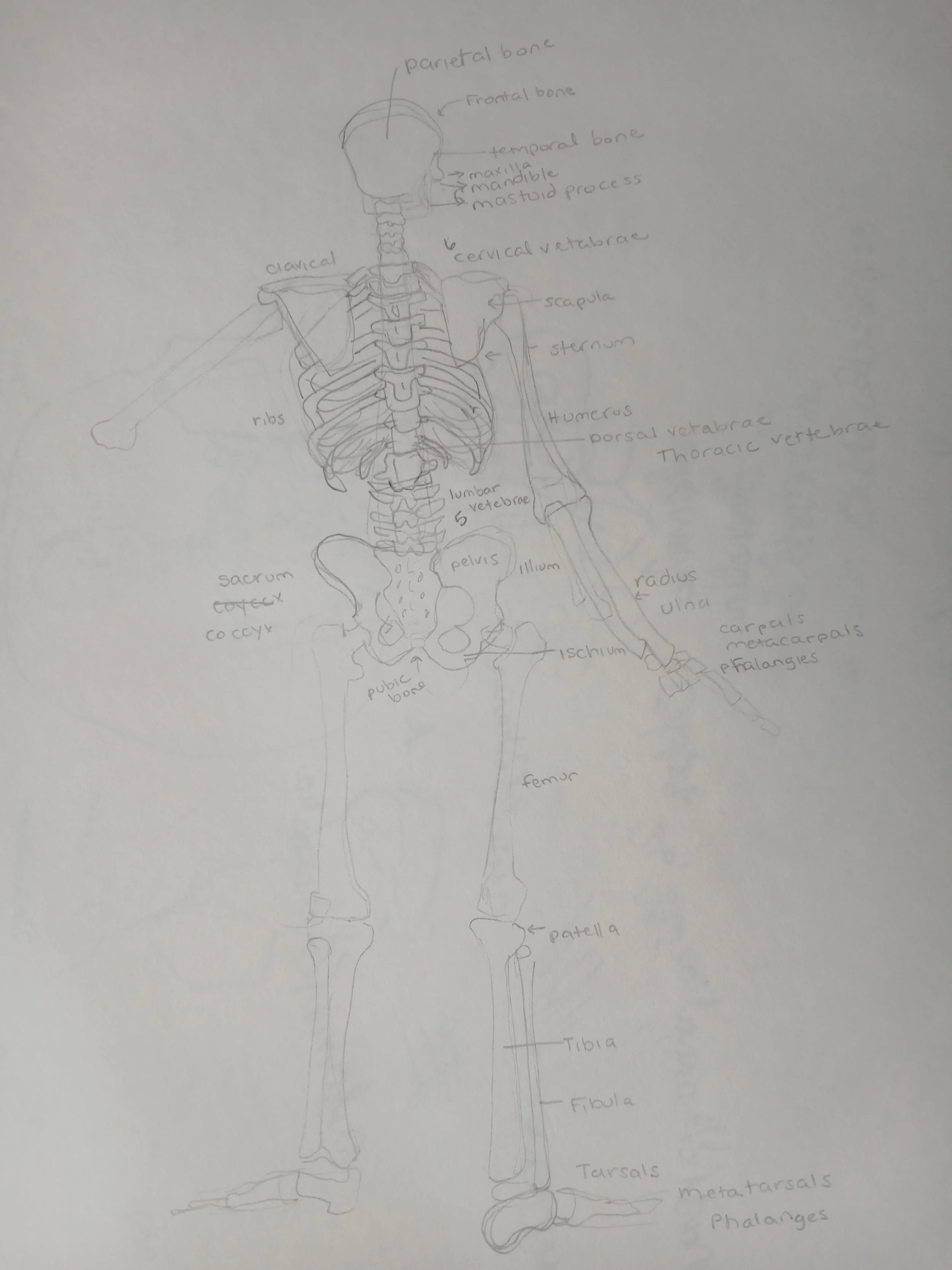 20260408_103906.jpg