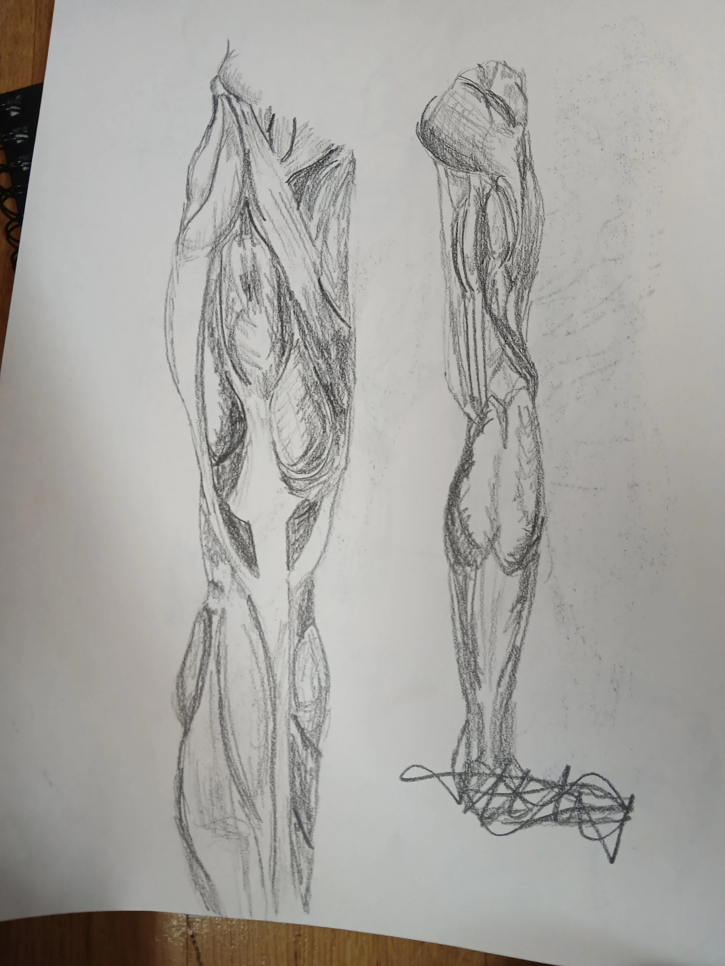 20260408_103442.jpg