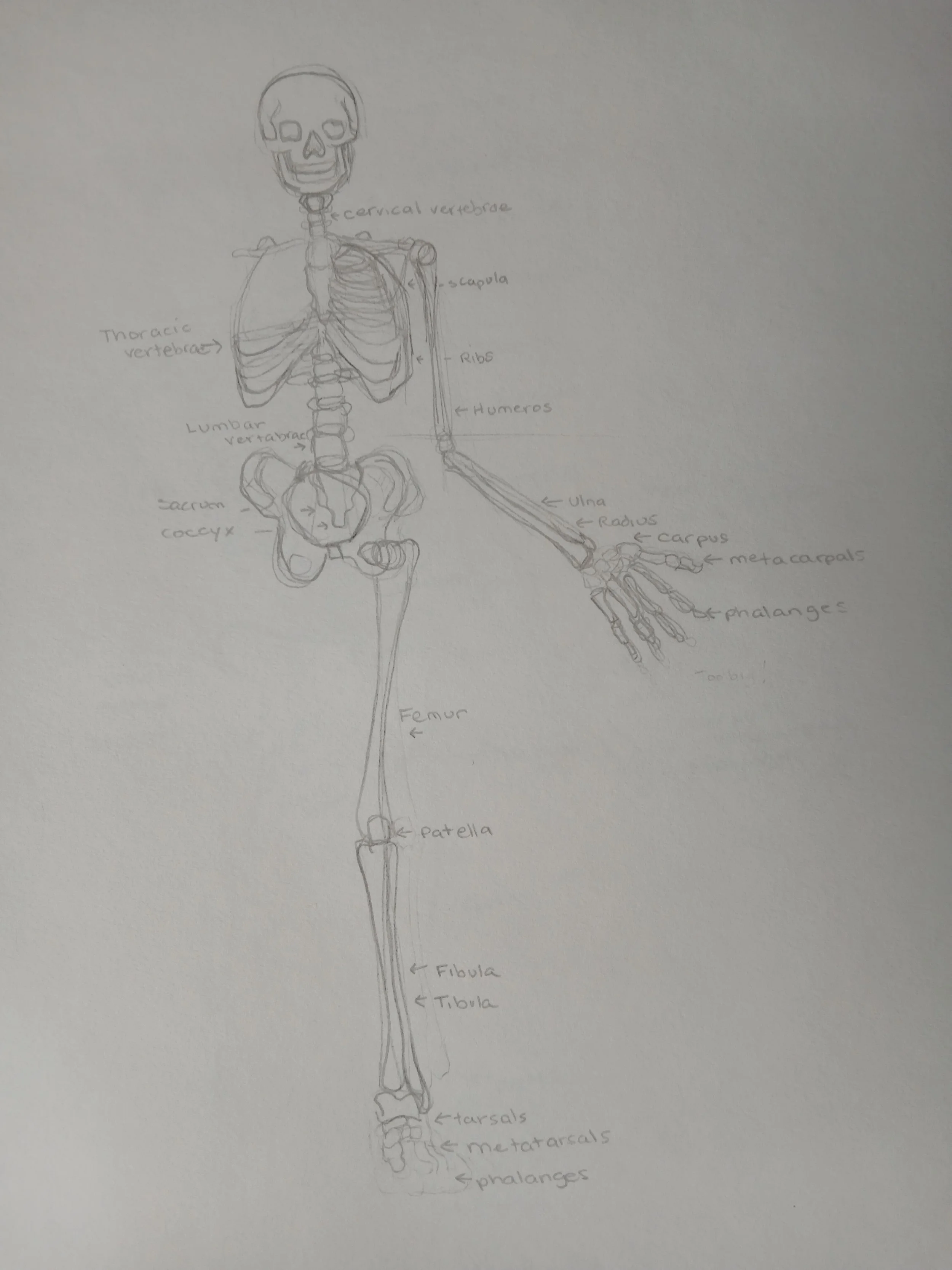20260408_103856.jpg