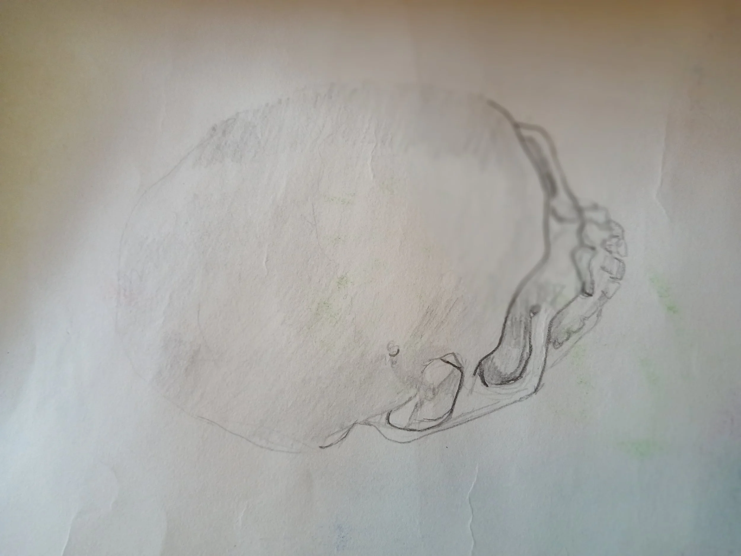 20260408_102351.jpg