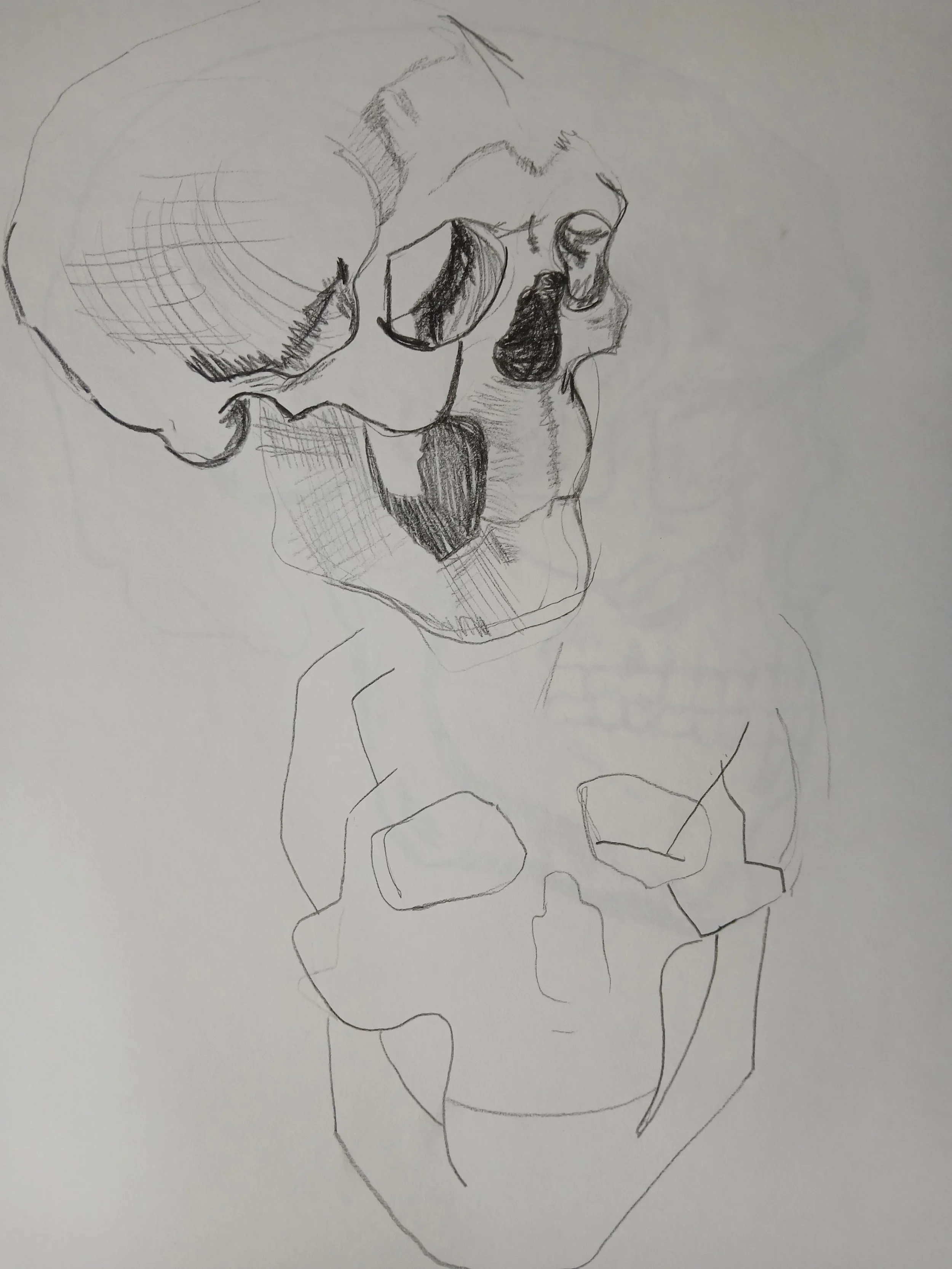 20260408_103704.jpg