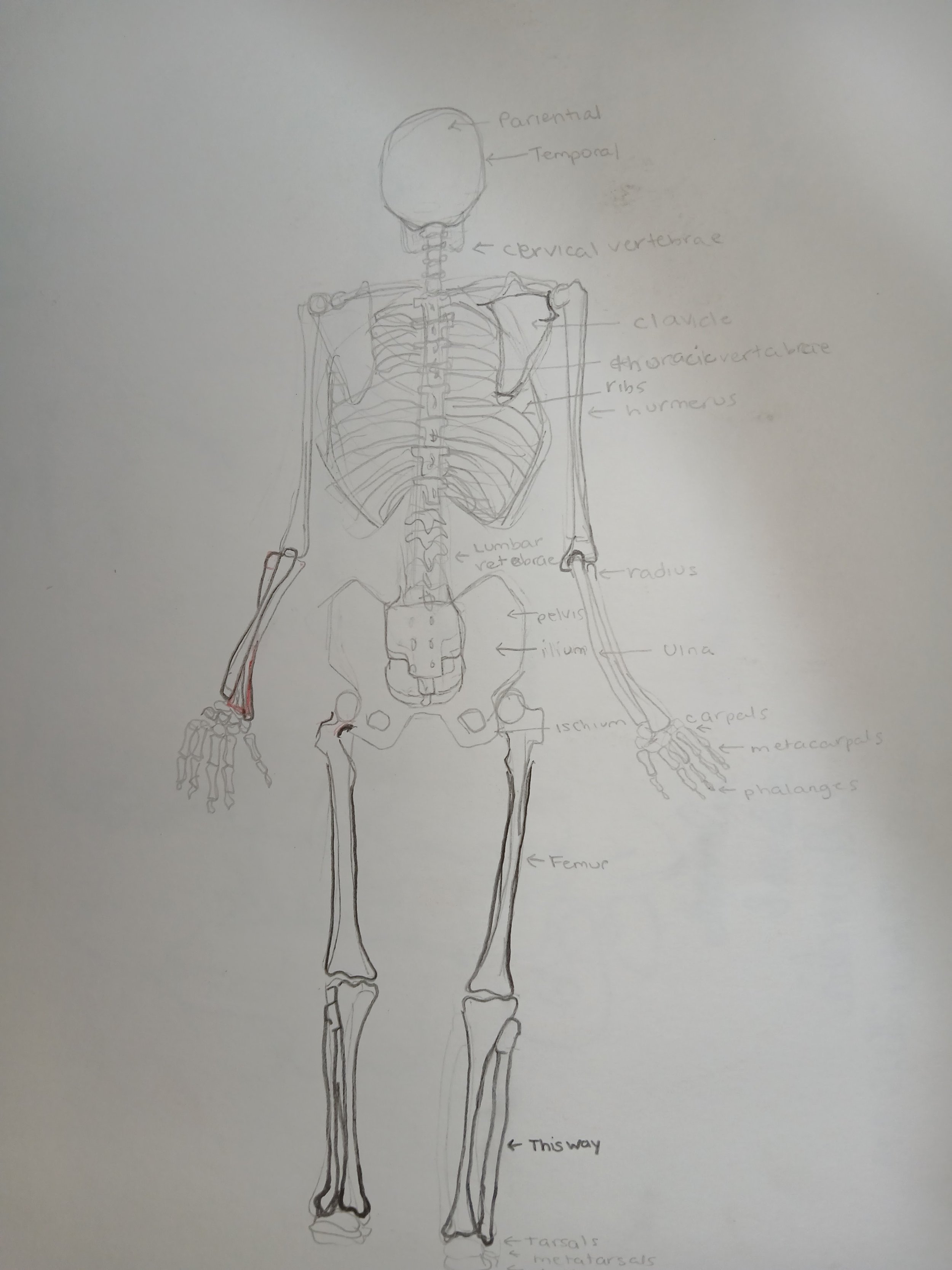 20260408_103919.jpg