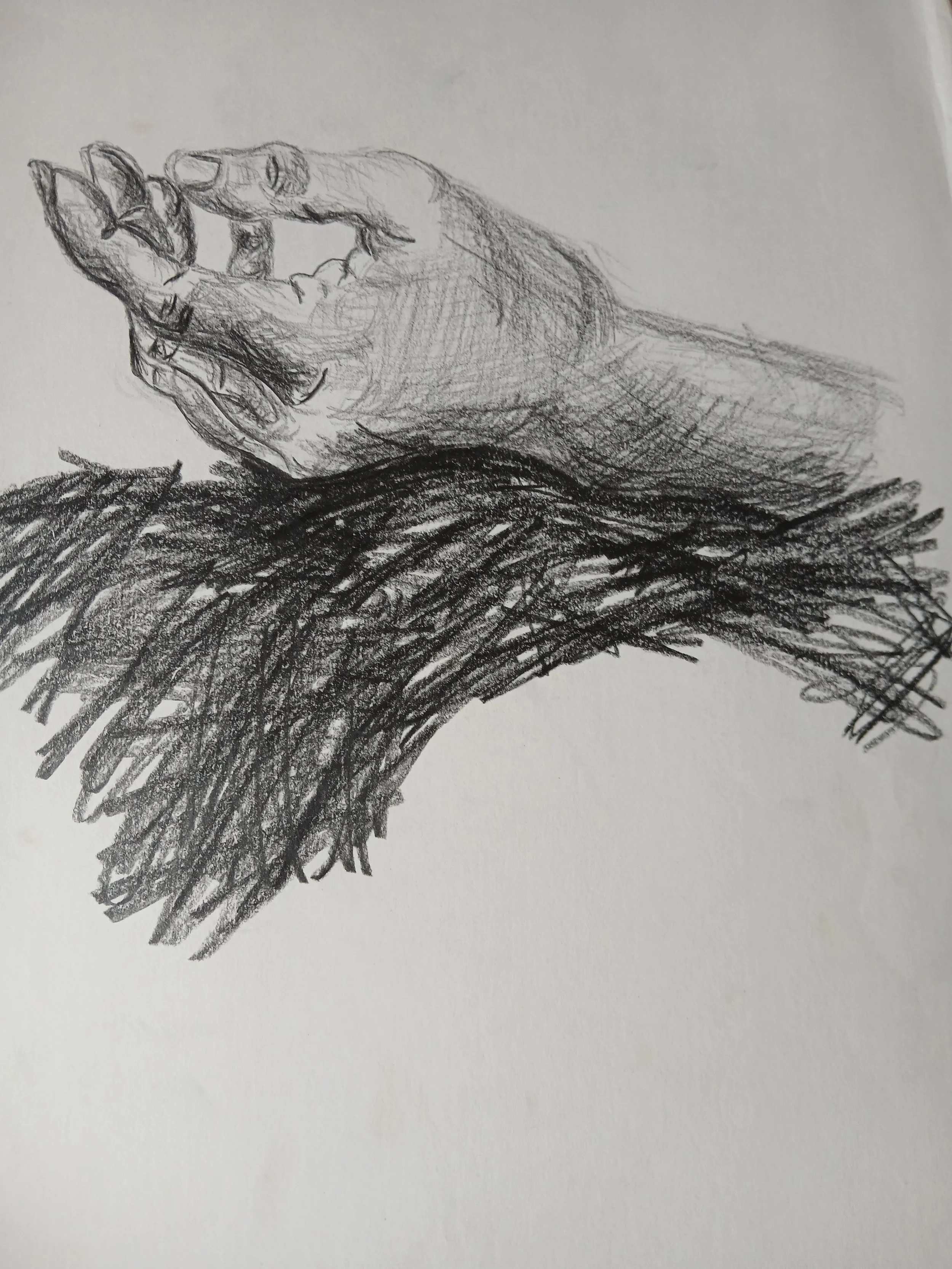 20260408_104324.jpg