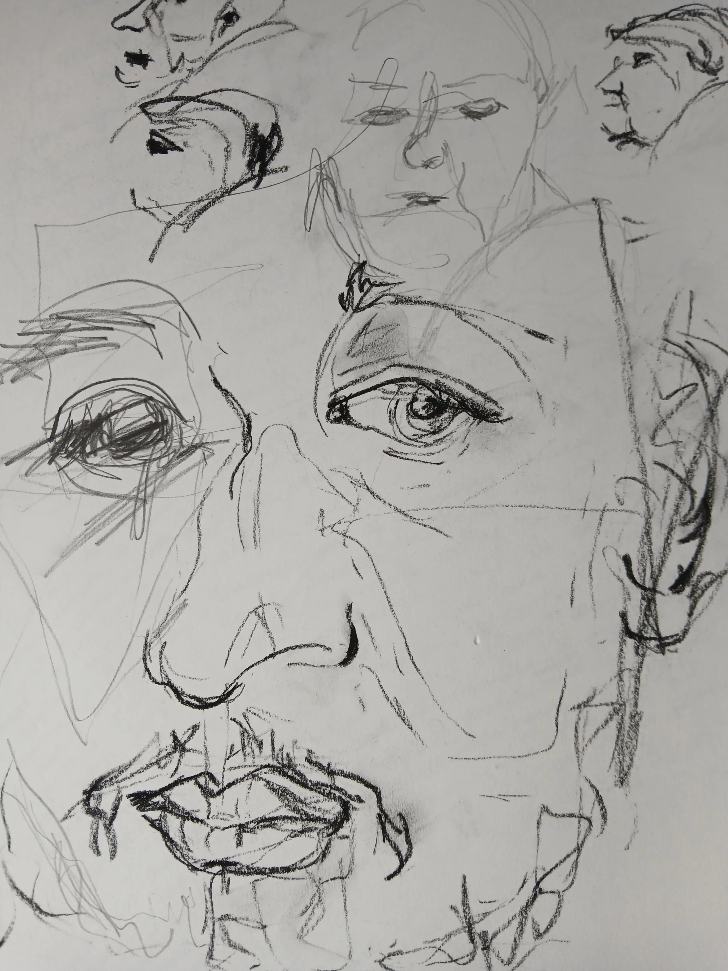 20260408_104223.jpg