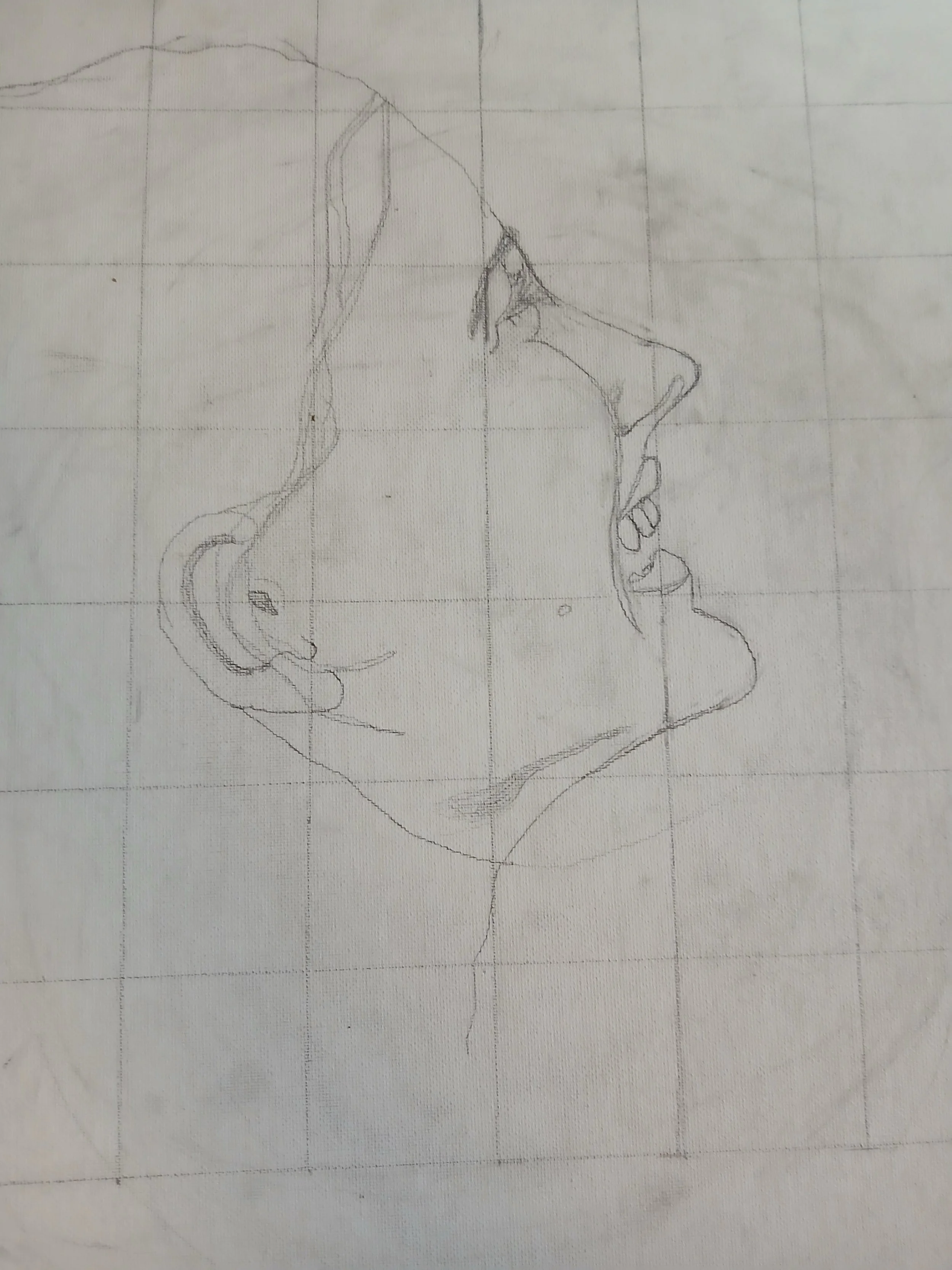 20260408_105001.jpg