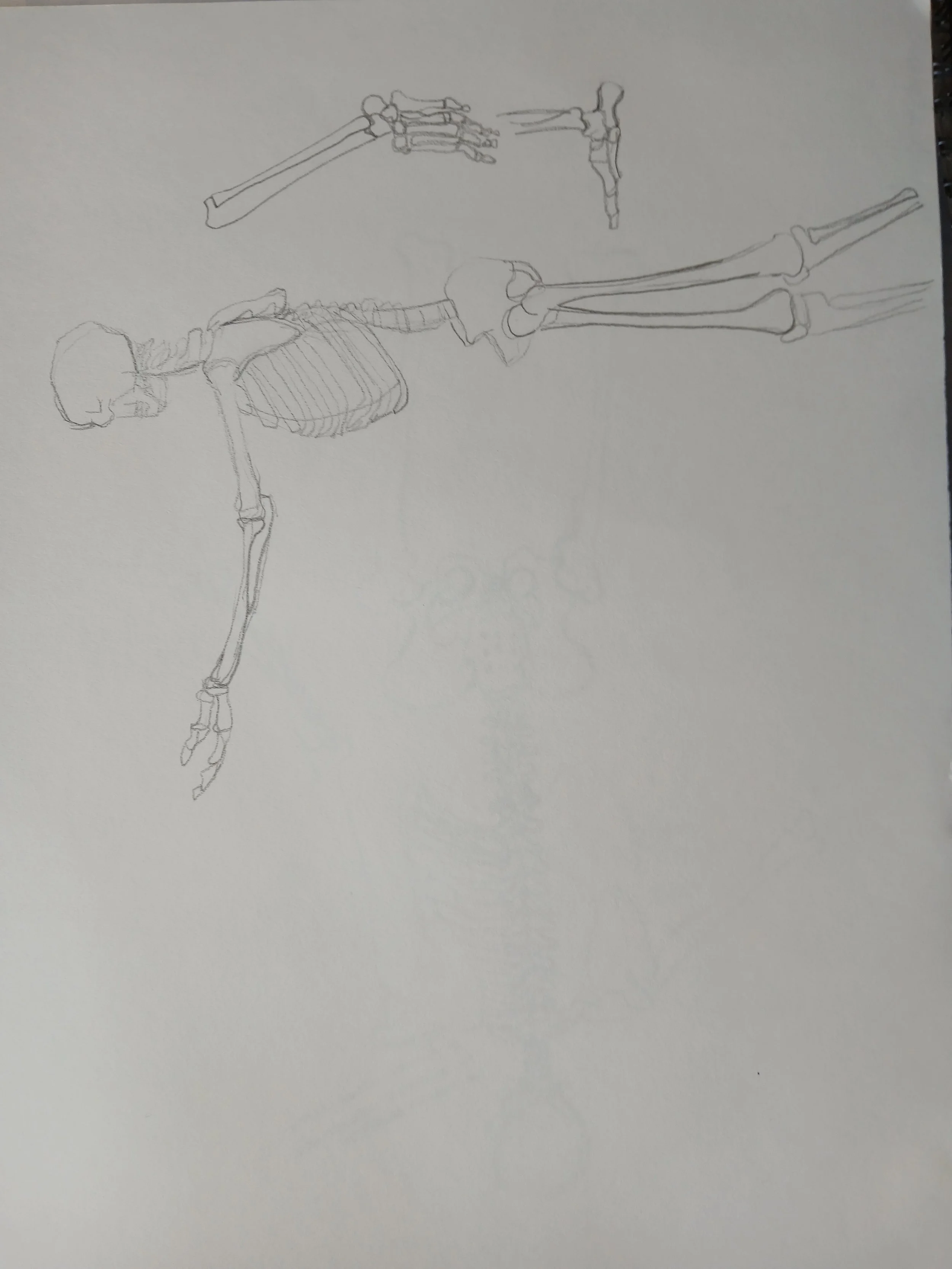 20260408_103933.jpg