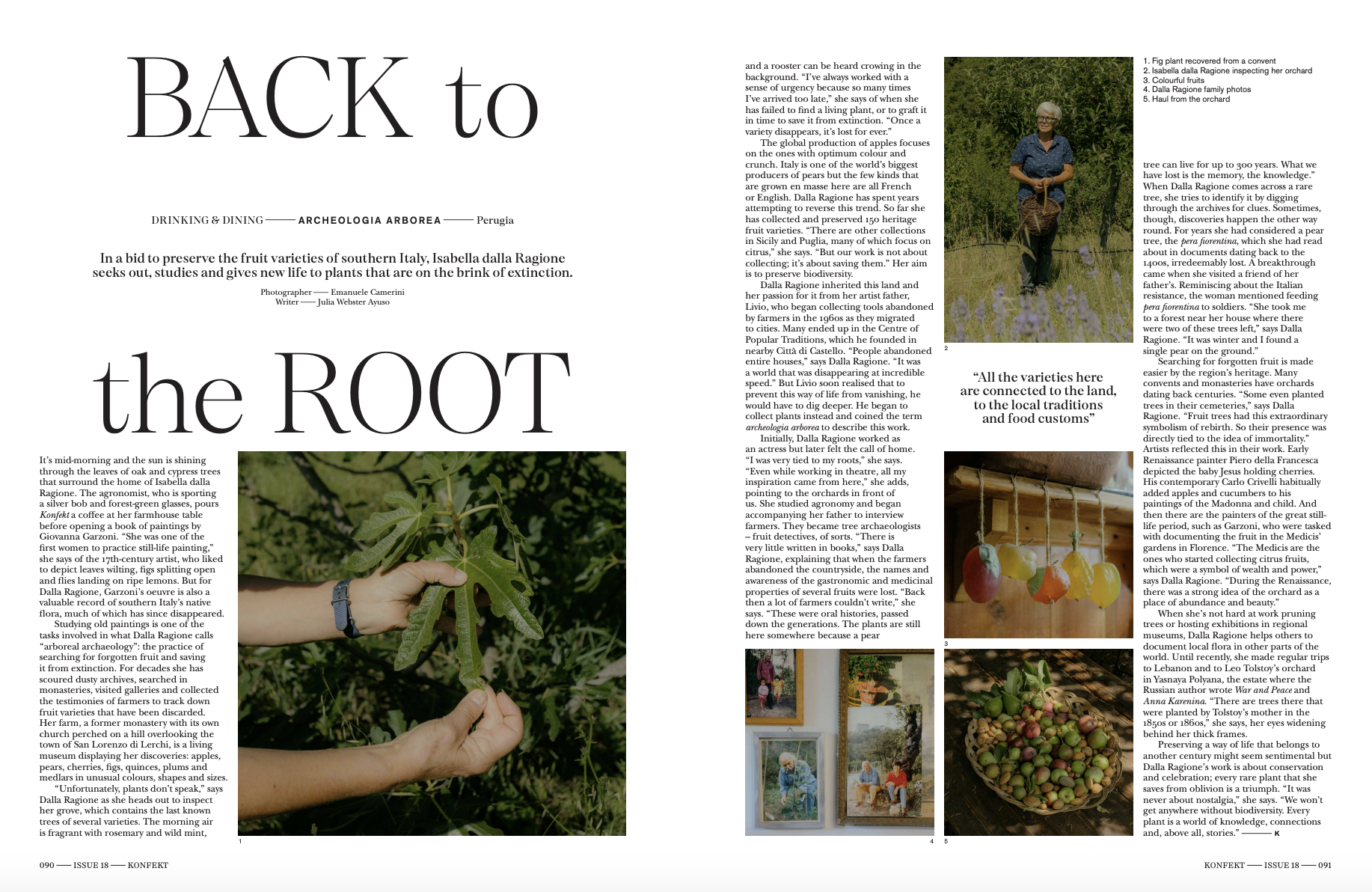 Back to the Root