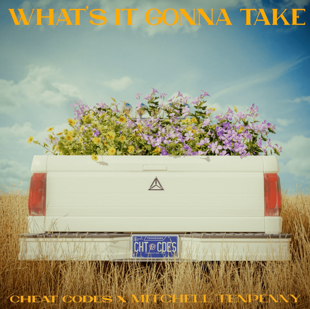 Another Country/EDM Fusion From Cheat Codes