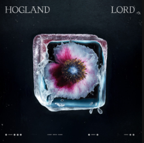 Your New Favorite Electronic Artist