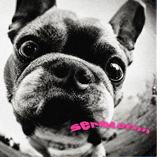 New Album from Bryce Vine