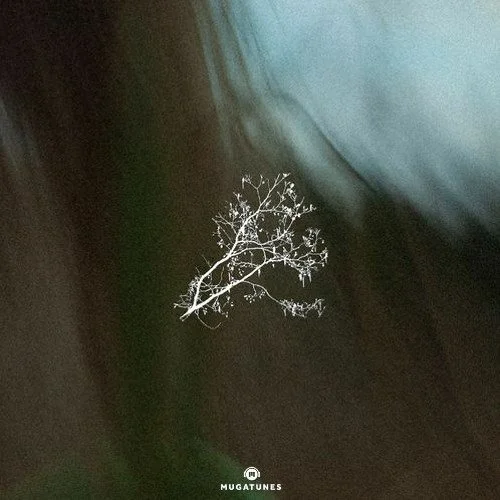 Ambient Energy