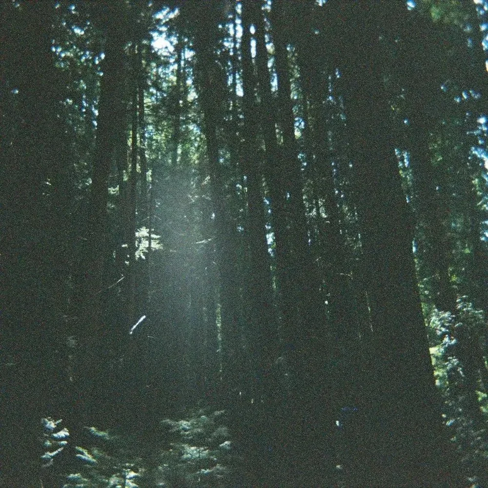 Rich Vocals on this Acoustic-Like Track