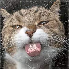 Beat of this song is a hit