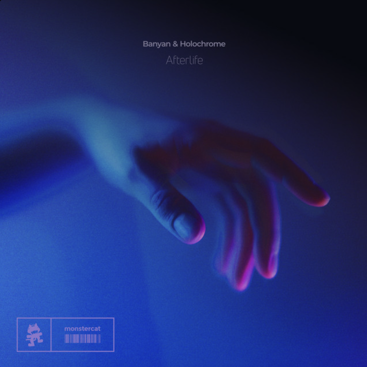 Banyan, Holochrome - Afterlife