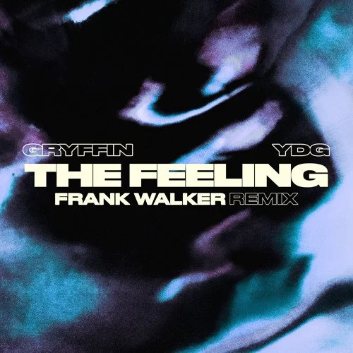 Gryffin, YDG - The Feeling (Frank Walker Remix)