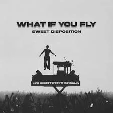 BUNT., The Temper Trap - What If You Fly (Sweet Disposition)