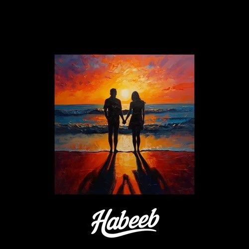 Habeeb - Stick Together
