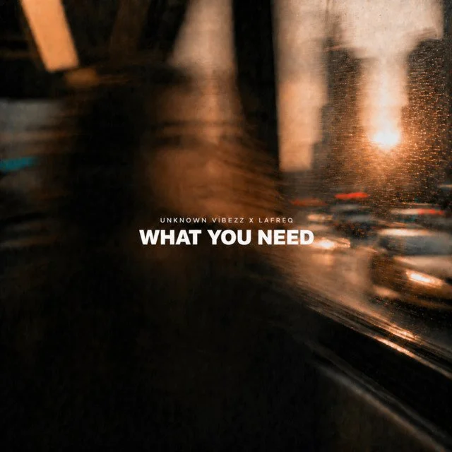 Unknown Vibezz - What You Need