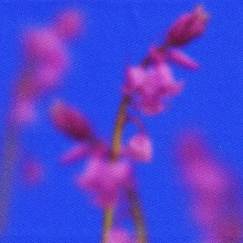 Meanetik, Sideluv - Thoughts Of Summer