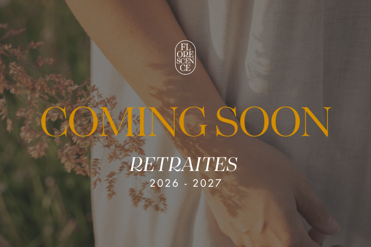 Bientôt de nouveaux séjours !