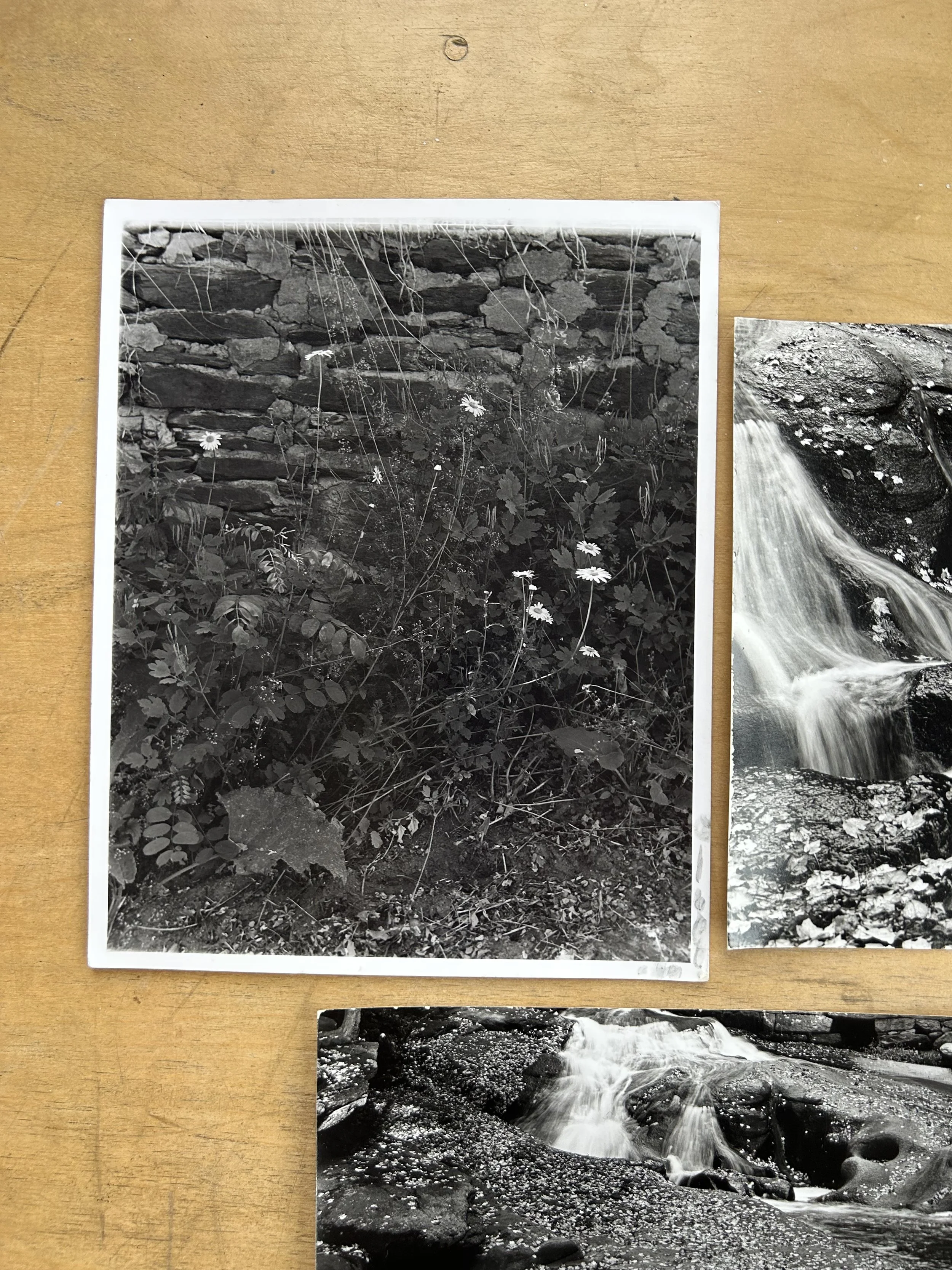 Vintage Studio Film Photography